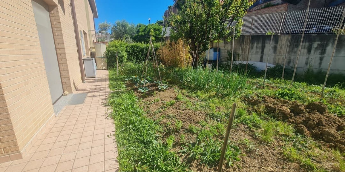 Ancona Quartieri Nuovi, 2 Camere Camere, ,1 BagnoBagni,Appartamento,In Vendita,1132