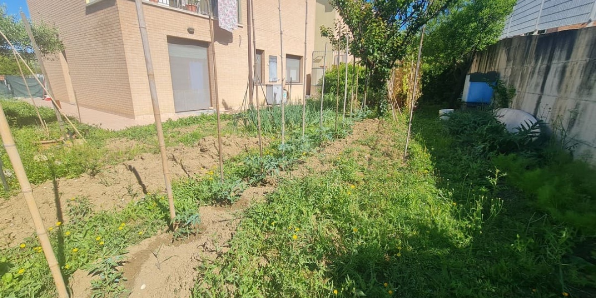 Ancona Quartieri Nuovi, 2 Camere Camere, ,1 BagnoBagni,Appartamento,In Vendita,1132