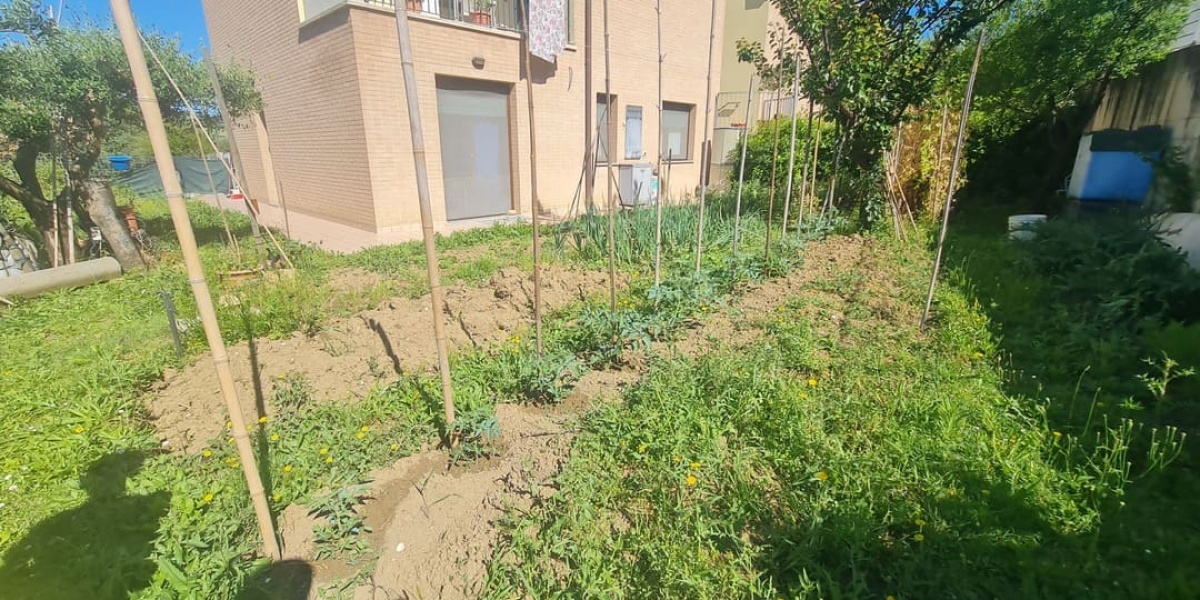Ancona Quartieri Nuovi, 2 Camere Camere, ,1 BagnoBagni,Appartamento,In Vendita,1132