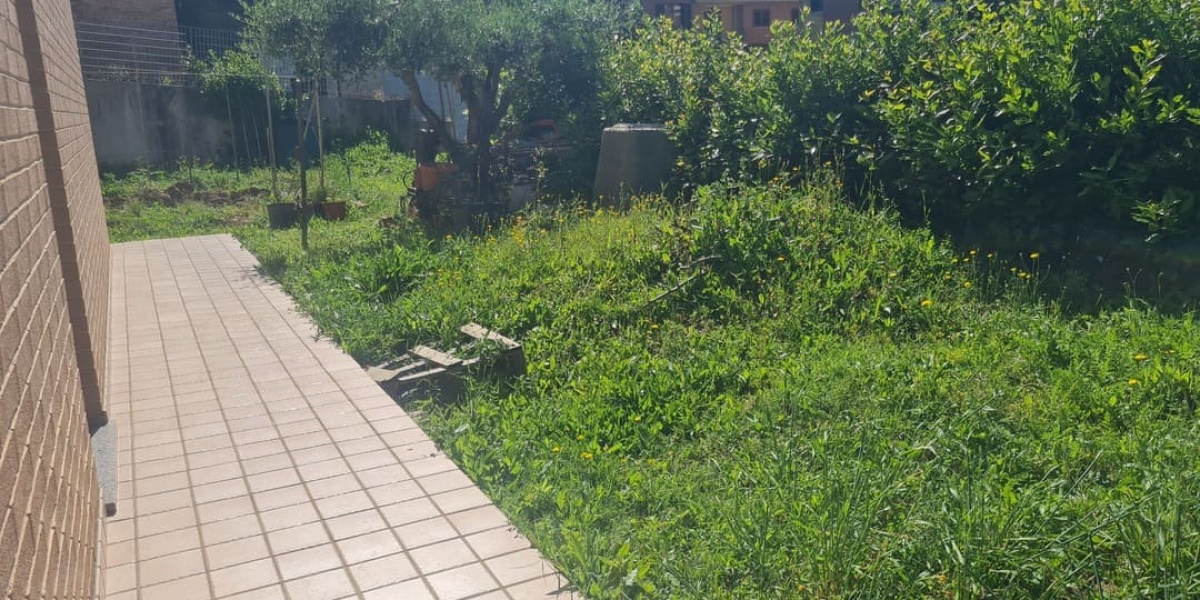Ancona Quartieri Nuovi, 2 Camere Camere, ,1 BagnoBagni,Appartamento,In Vendita,1132