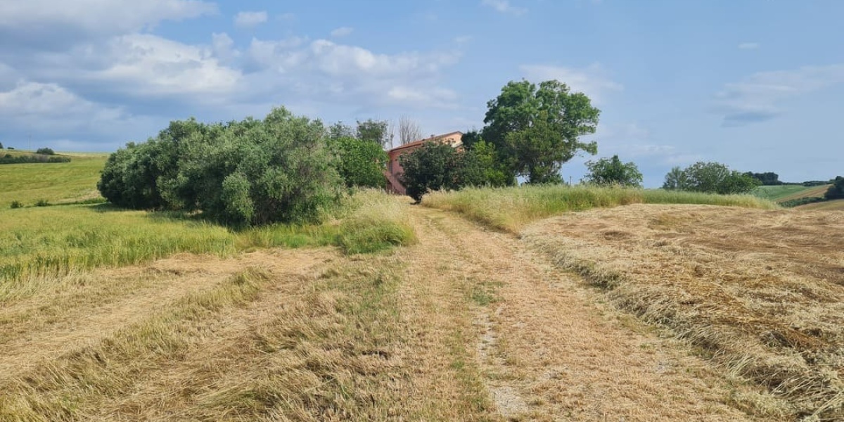 Ancona Torrette-Barcaglione, 3 Camere Camere, ,2 BagniBagni,Rustico/Casale,In Vendita,1133