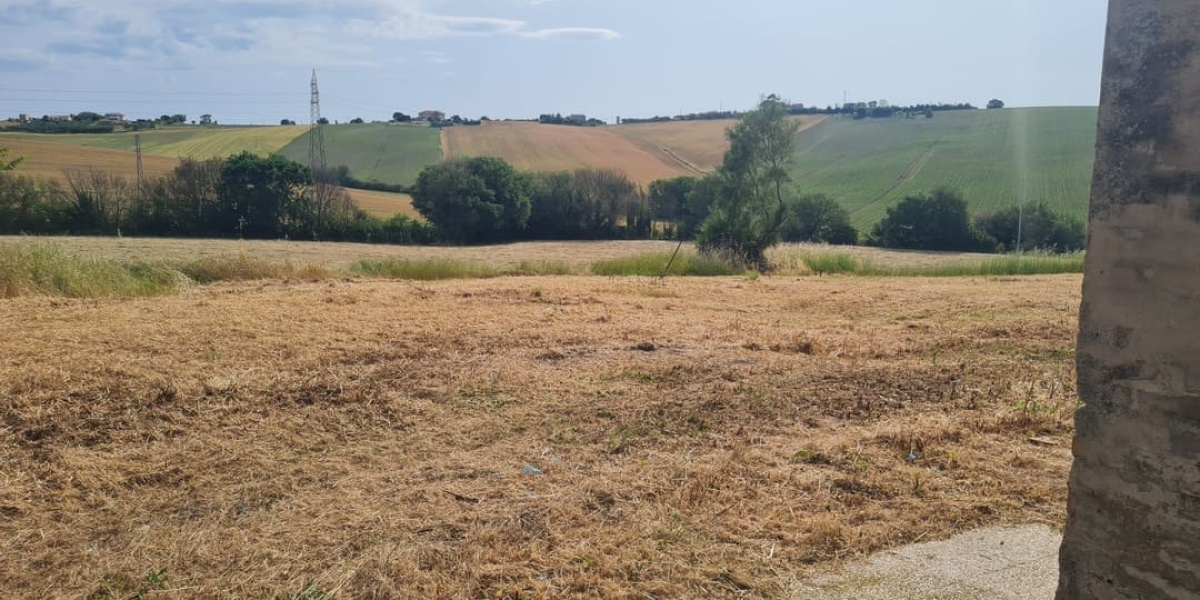 Ancona Torrette-Barcaglione, 3 Camere Camere, ,2 BagniBagni,Rustico/Casale,In Vendita,1133