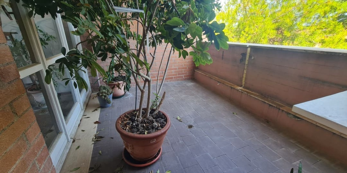 Ancona Le Grazie-Tavernelle, 3 Camere Camere, ,2 BagniBagni,Appartamento,In Vendita,1138