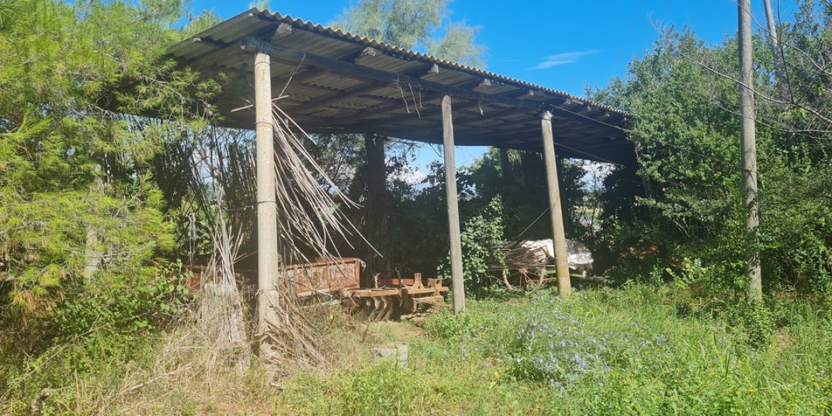 Ancona Campagna, 4 Camere Camere, ,2 BagniBagni,Rustico/Casale,In Vendita,1004