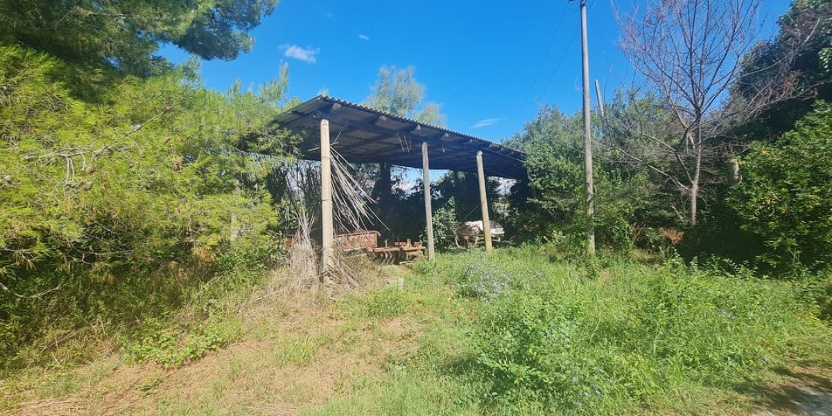 Ancona Campagna, 4 Camere Camere, ,2 BagniBagni,Rustico/Casale,In Vendita,1004