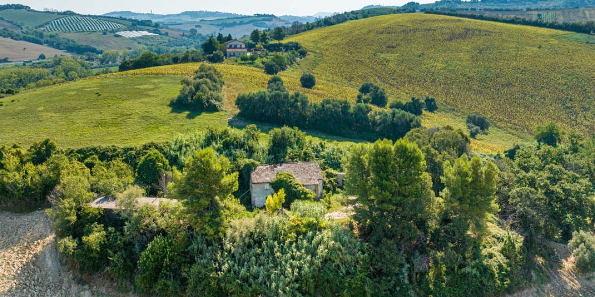 Ancona Campagna, 4 Camere Camere, ,2 BagniBagni,Rustico/Casale,In Vendita,1004