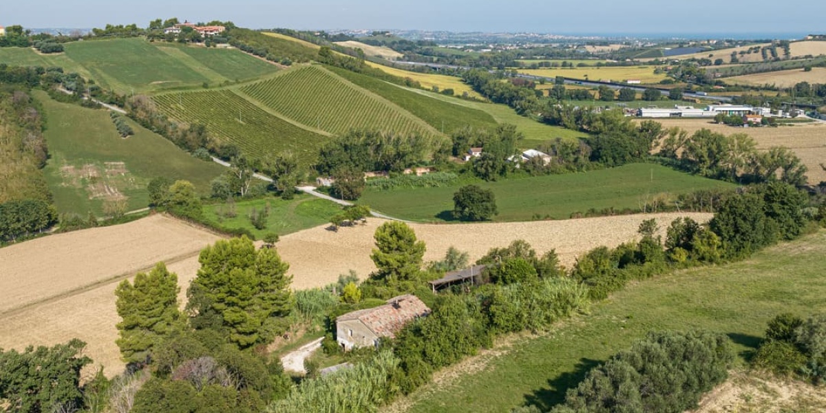 Ancona Campagna, 4 Camere Camere, ,2 BagniBagni,Rustico/Casale,In Vendita,1004