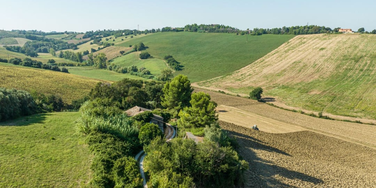 Ancona Campagna, 4 Camere Camere, ,2 BagniBagni,Rustico/Casale,In Vendita,1004