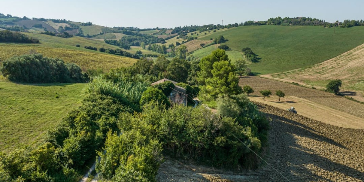 Ancona Campagna, 4 Camere Camere, ,2 BagniBagni,Rustico/Casale,In Vendita,1004