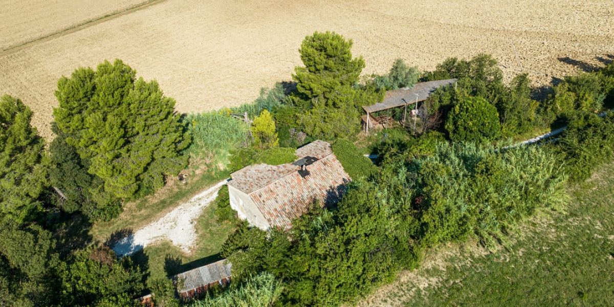 Ancona Campagna, 4 Camere Camere, ,2 BagniBagni,Rustico/Casale,In Vendita,1004