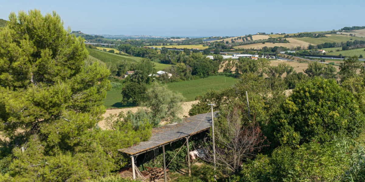Ancona Campagna, 4 Camere Camere, ,2 BagniBagni,Rustico/Casale,In Vendita,1004