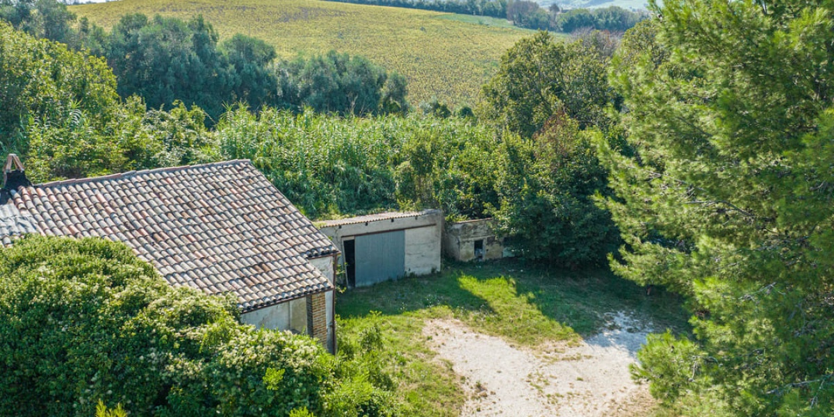 Ancona Campagna, 4 Camere Camere, ,2 BagniBagni,Rustico/Casale,In Vendita,1004