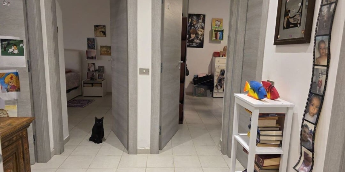 Ancona Adriatico-Passetto, 3 Stanze da Letto Stanze da Letto, 0 ,2 BagnoBagno,Appartamento,In Vendita,1158