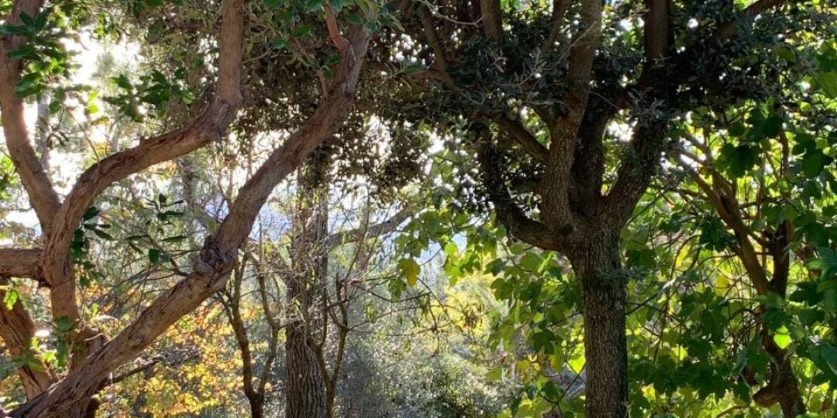 Ancona Conero, 3 Stanze da Letto Stanze da Letto, 0 ,3 BagnoBagno,Villa,In Vendita,1174 Ancona Conero, 3 Stanze da Letto Stanze da Letto, 0 ,3 BagnoBagno,Villa,In Vendita,1174