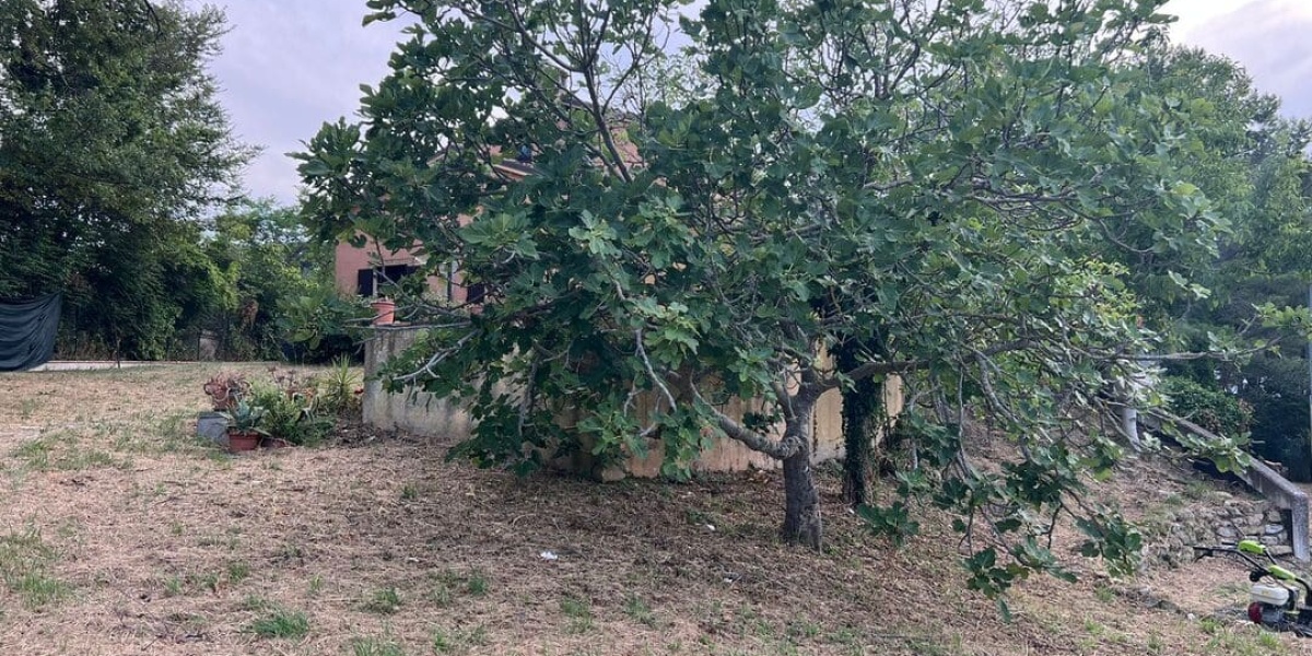 Ancona Conero, 3 Stanze da Letto Stanze da Letto, 0 ,3 BagnoBagno,Villa,In Vendita,1183