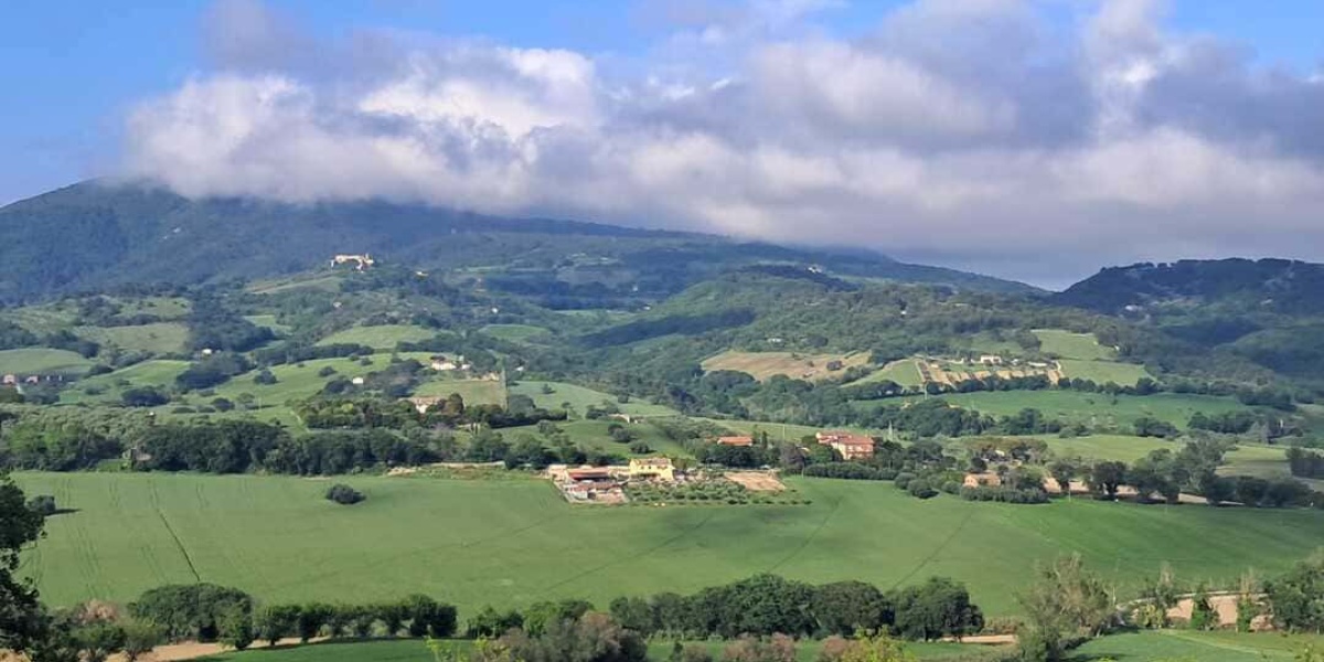 Ancona Conero, 2 Stanze da Letto Stanze da Letto, 0 ,1 BagnoBagno,Appartamento,In Vendita,1213