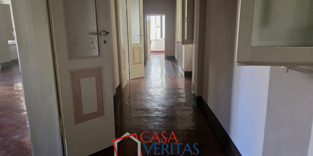 Ancona Centro, 7 Stanze da Letto Stanze da Letto, 0 ,1 BagnoBagno,Appartamento,In Vendita,1232